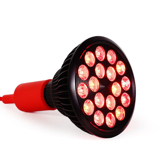 MITO LIGHT Bulb 4.0