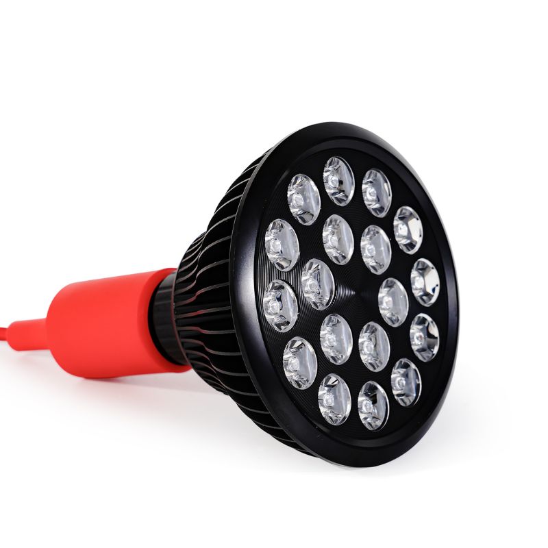 MITO LIGHT Bulb 4.0 - Peak Health and Fitness