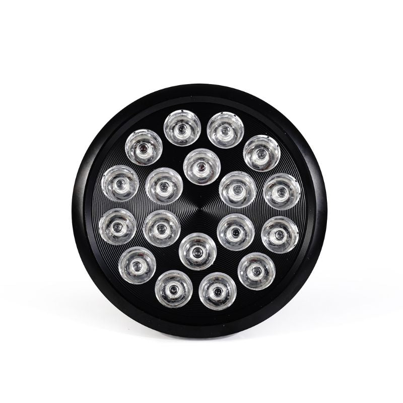 MITO LIGHT Bulb 4.0 - Peak Health and Fitness