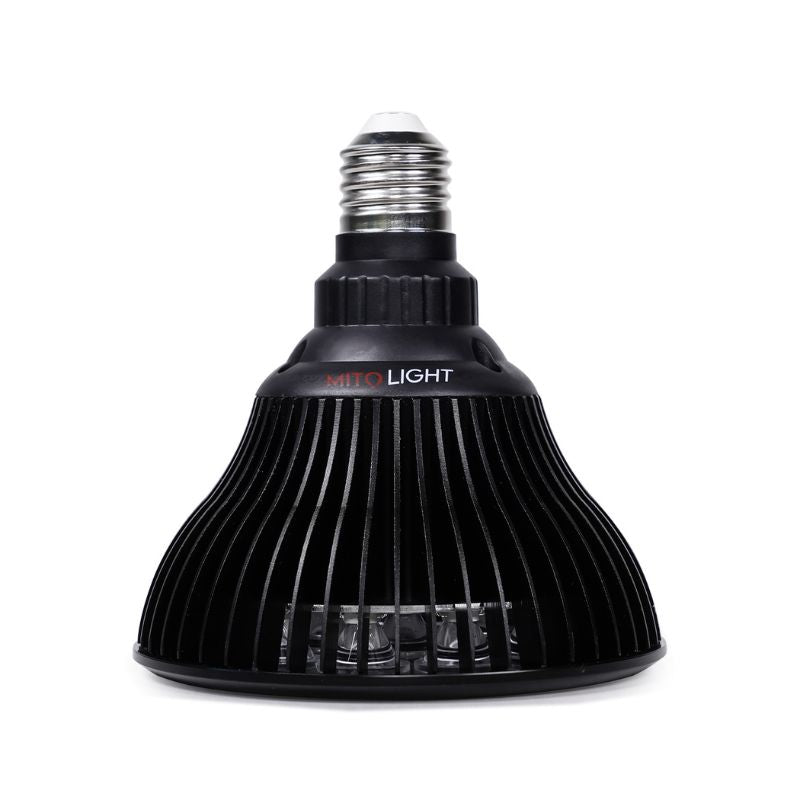 MITO LIGHT Bulb 4.0 - Peak Health and Fitness