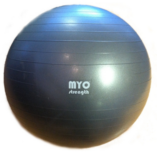 MYO Strength Fit Ball - 75CM - Silver