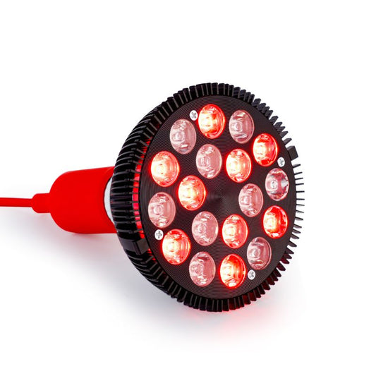 MITO LIGHT Bulb 3.0